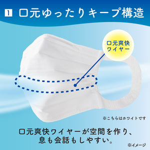 エリエール　Zuttoムレ爽快　アイスブルー　ふつう30枚
