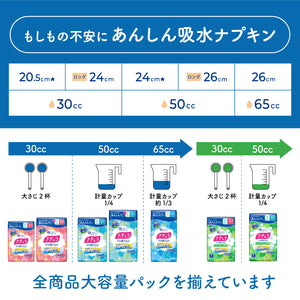 ナチュラさら肌さらりあんしん吸水ナプキン24cmロング30cc22枚