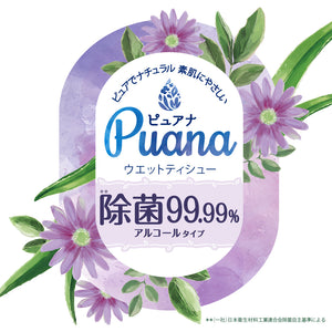 【アウトレット】訳あり品　エリエール　Puana(ピュアナR)ウエットティシュー除菌99.99%アルコールタイプ　携帯用30枚