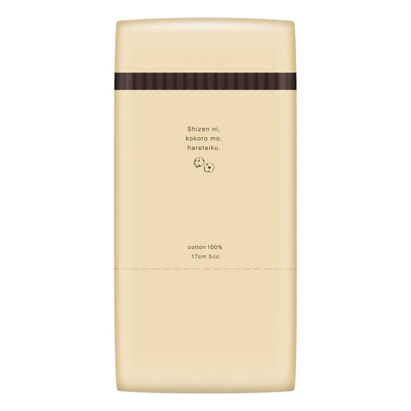 4902011103953_100_17cm5cc36_21